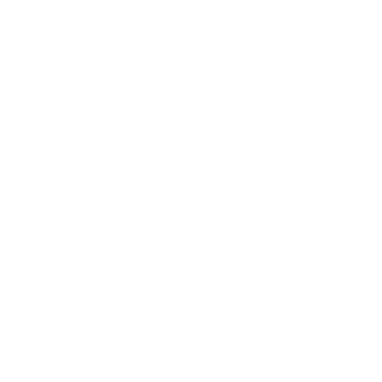 Hayat Travel Viagens e Turismo